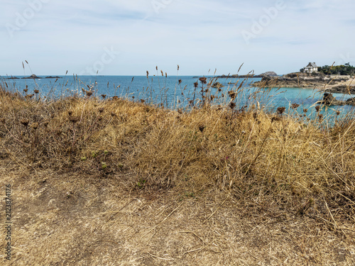Pointe de la Varde à Saint-Malo - Sécheresse