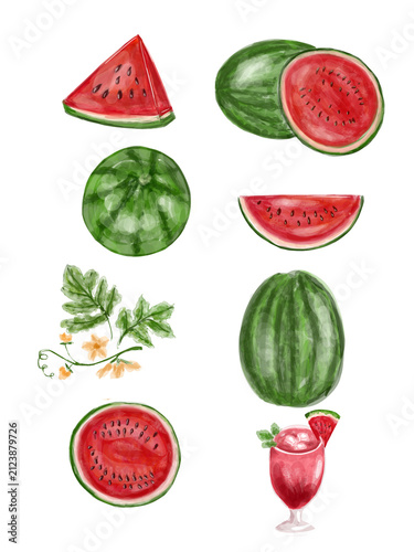 Watercolor watermelon clipart set with whole fruit, slices, leaves, flowers, and fresh juice glass illustration isolated on white background

Hand drawn juicy red watermelon
