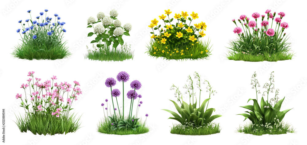 Fototapeta premium PNG Colorful assorted garden flowers isolated, transparent background