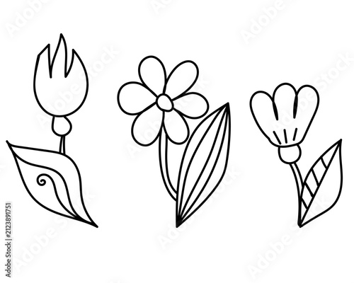 line art set of three stylized flowers with stems and leaves, doodle vector illustration