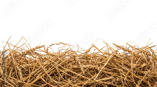 A horizontal border of dried golden wheat hay isolated on white background.