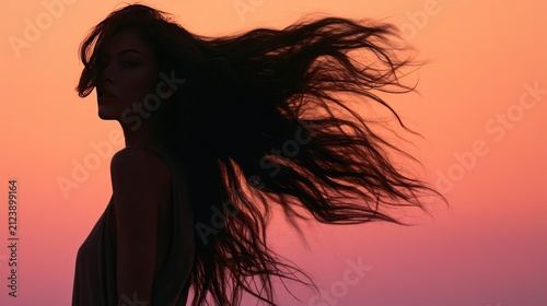 Silhouetted woman with flowing hair against a gradient sunset sky