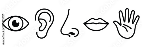 five human senses icons for sight hearing smell taste and touch line art