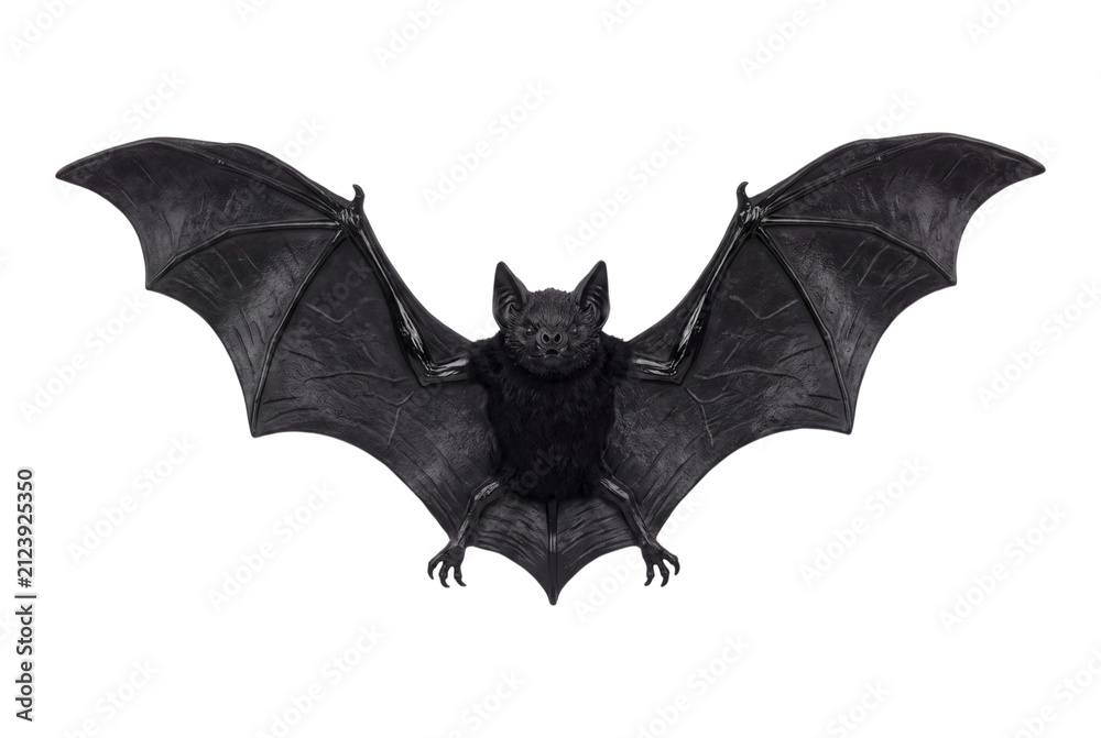 Fototapeta premium Gray bat with spread wings isolated on transparent background