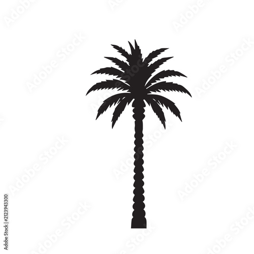 Palm Tree Collection