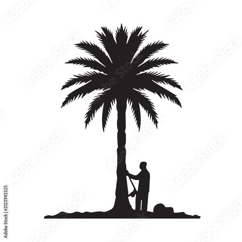 Palm Tree Collection