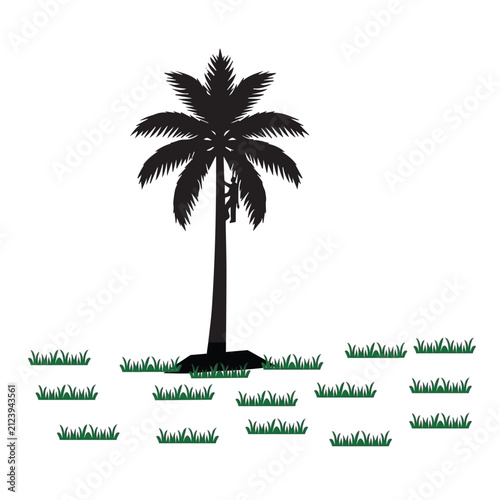 Palm Tree Collection