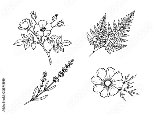 Hand drawn botanical line art floral and leaves collection vector