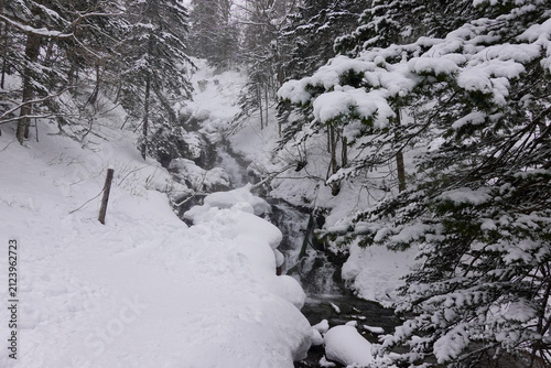 Snowy Forest Gorge And Stream