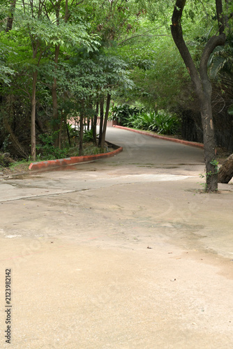 Winding concrete pathway through lush tropical forest with dense green vegetation