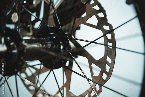 Disc brake of a mountain bicycle