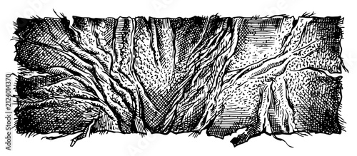 Fotografie Gnarled tree bark texture with deep crevices in vintage woodcut engraving style
