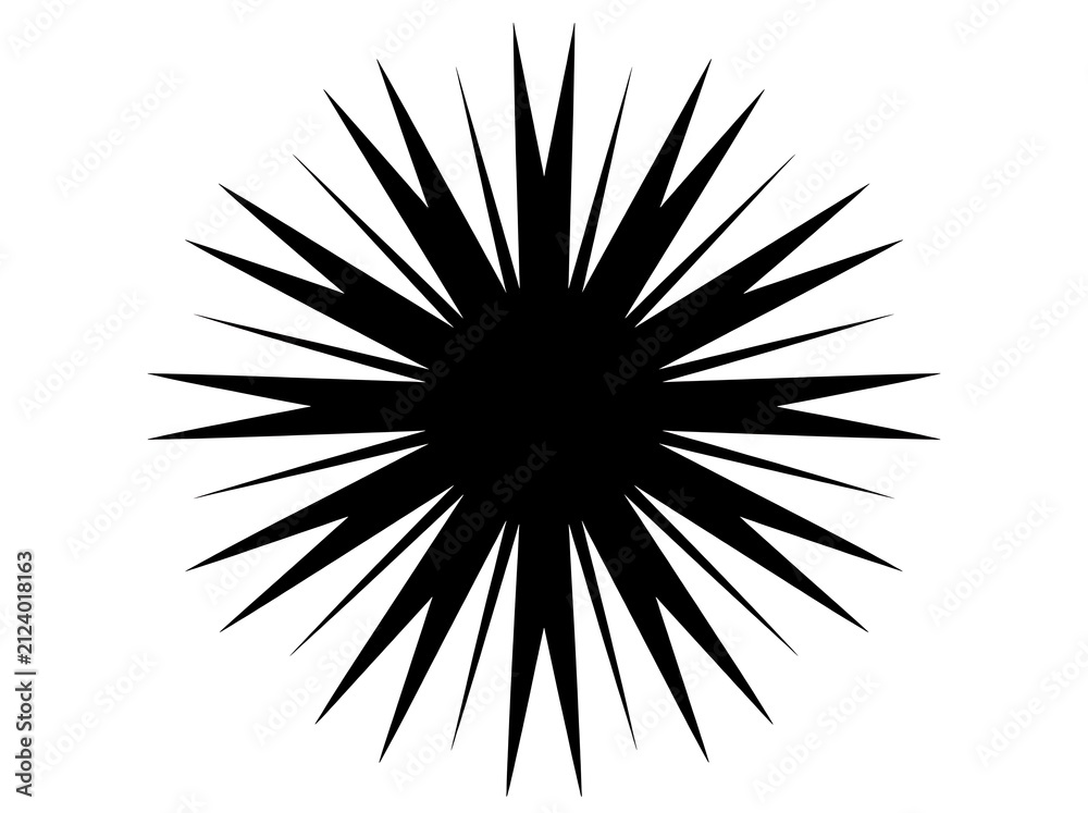 Obraz premium Black starburst geometric shape design