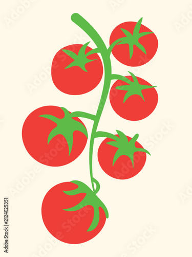 Minimalist Tomato Vine Illustration on Light Background