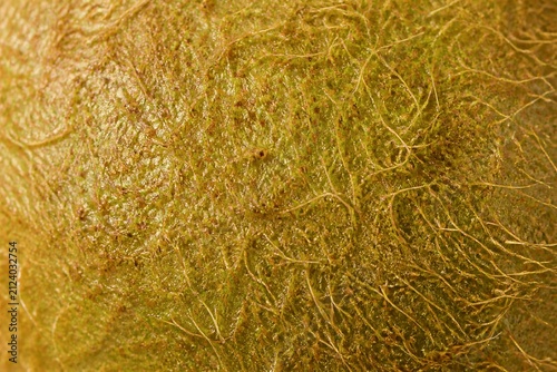 Close up hairy kiwi skin texture on natural brown surface