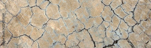 Cracked concrete wall texture with crack lines resembling a web.