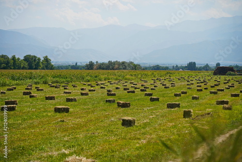фотографія The stack. A field with collected haystacks and straw.