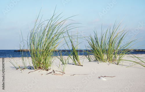 Baltic Sea Beach with Clouds and Sea Grass