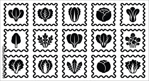 Foto Collection Of Lettuce Silhouettes In Decorative Frames Black And White Vector Il