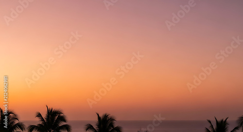 Tropical dusk gradient with palm trees background full hd download 2025 2026