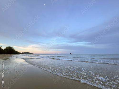 Wide angle view of a tranquil beach with gentle waves, dark tree line, and cloudy sky reflecting on wet sand.