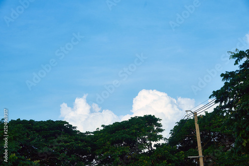 Bright blue sky with large fluffy white clouds over vibrant green tree tops on a beautiful sunny day.