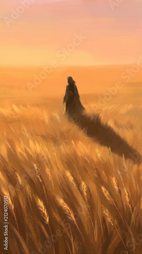 A lonely person walking through a field of wheat during a beautiful golden sunset