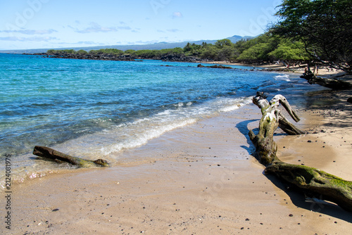 Konstfotografi Large driftwood log on the sandy shore of a tropical bay on the Big Island Hawai