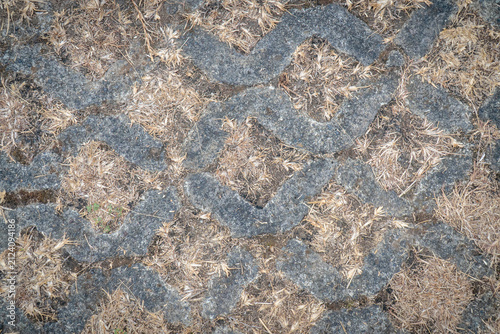 Foto Close-up of interlocking concrete paving blocks with dry grass filling the gaps, creating a rustic textured surface for architectural backgrounds