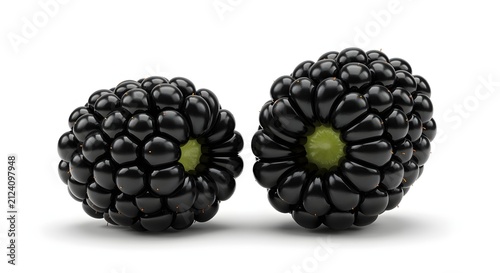 Two fresh ripe blackberries isolated on a pure white background for food and beverage graphic design