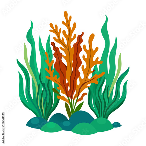 Seaweed and coral plants vector composition with underwater vegetation isolated on white background