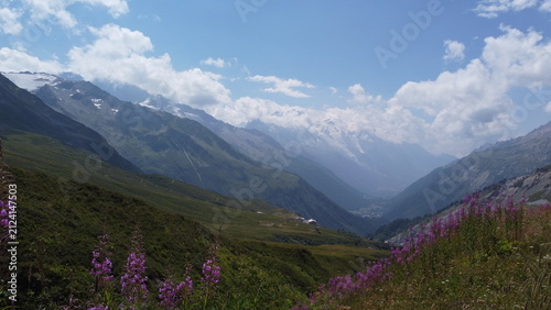 Alpine Valley Near Mont Blanc With Summer Wildflowers