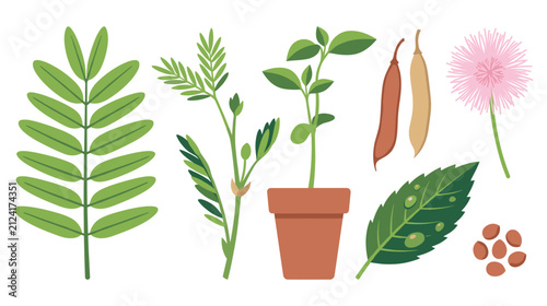 Green plant elements set with leaves seedlings and seeds in flat style.