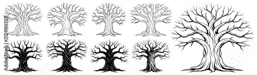Leafless Tree Vector Set with Bare Branches, Line Art and Silhouette Isolated on Transparent Background