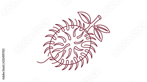 Quadro su tela Minimalist rambutan fruit line art illustration.