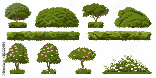 Fotografía trees and shrubs vector illustration on white background landscape greenery bota