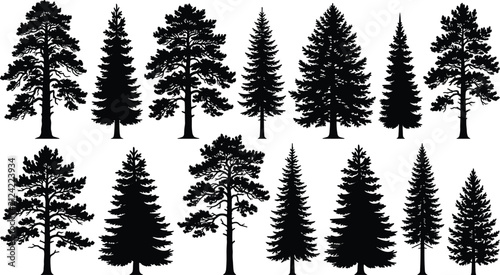 Foto Set of detailed black pine and fir tree silhouettes for woodland and nature desi
