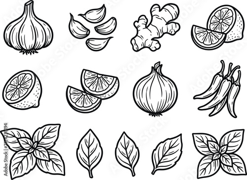 Culinary ingredients line art vector set, whole garlic bulb cloves, fresh ginger root, halved lemon citrus wedges, onion, chili peppers, basil