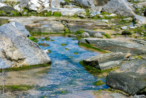 Exposed rock pool on Seahouses North Beach at low tide, close selective focus on foreground rock and water, coastal textures, muted tones under overcast sky.
