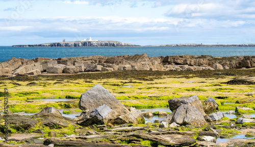 Exposed rocks and rock pool on Seahouses North Beach, distant Farne Islands softly blurred with bokeh, coastal foreground detail under muted overcast light.