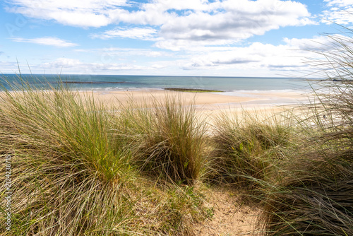 High vantage view through rolling sand dunes over Bamburgh’s wide sandy coastline on the Northumberland coast, with sweeping beach and sea meeting under open sky.