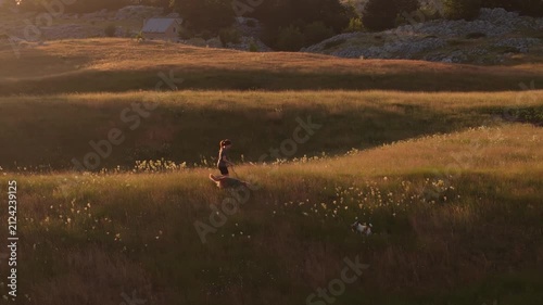 Drone Tracking Woman Running with a Dog Across a Meadow at Sunset