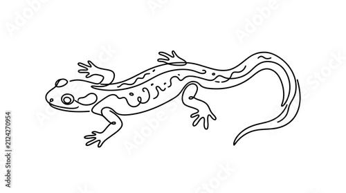Obraz na plátne Black and white hand drawn sketch of a small salamander.