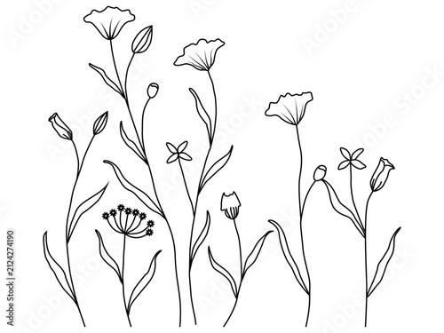 Hand Drawn Wildflower Botanical Line Art Border Vector with Floral Stems and Leaves Isolated on Black Background