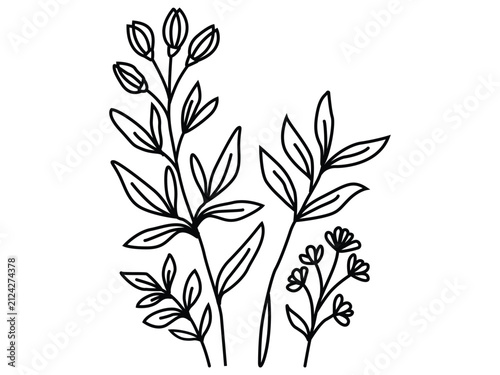 Minimal Botanical Leaf Line Art Vector, Hand-Drawn Wild Foliage Outline, Elegant Floral Branch Illustration