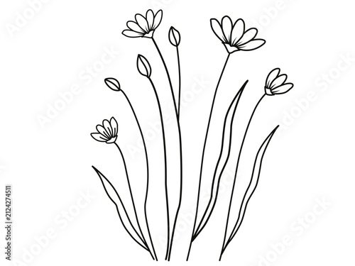 Minimal Wildflower Line Art Vector Illustration, Hand-Drawn Botanical Floral Outline, Continuous Line Flower Design Isolated on White Background