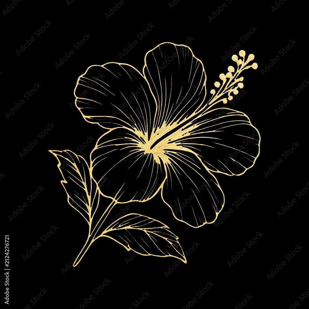 Fototapeta premium Elegant gold hibiscus illustration