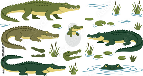 фотографія Alligator and Crocodile Cartoon Character Vector Set Featuring Hatching Baby, Sw
