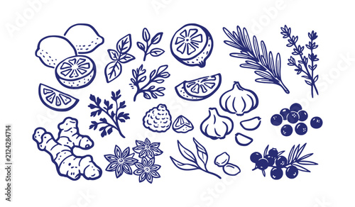 Herbs garlic lemon ginger doodle line art vector illustration 2