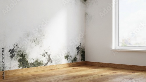 Black mold growing on white wall. Damp interior room with fungus damage and moisture.